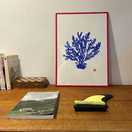 Apartment Cote Des Basques