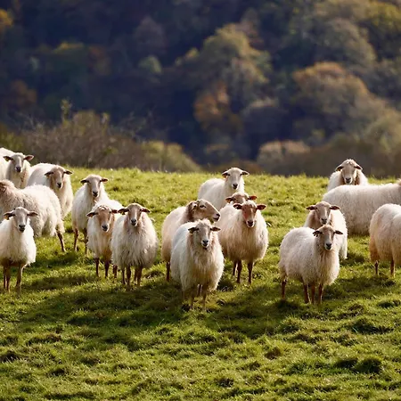 アパート Cote Des Basques